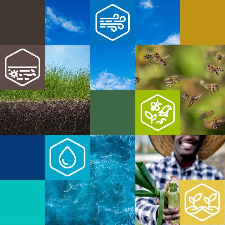 Grid of colored boxes, icons showing symbols for air, soil, biodiversity, water, and equity, and images showing blue skies with clouds, grass with roots in soil, flying bees, overhead photo of water, and farmer holding a zucchini plant