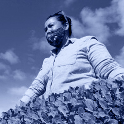 Headshot of Mireya Gomez-Contreras